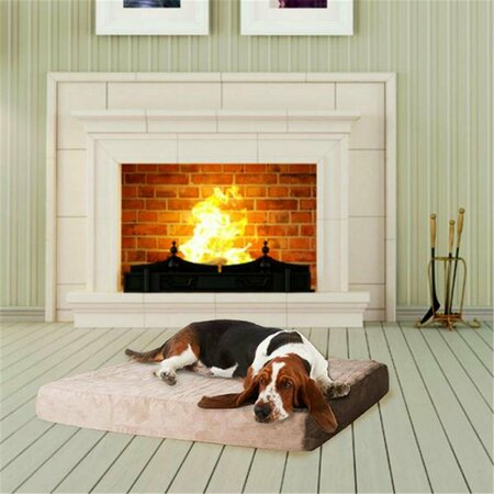 DARETOCARE Medium PAW Memory Foam Dog Bed With Removable Cover DA3213748